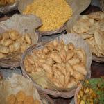 Vraj-Yatra-2014- (829)